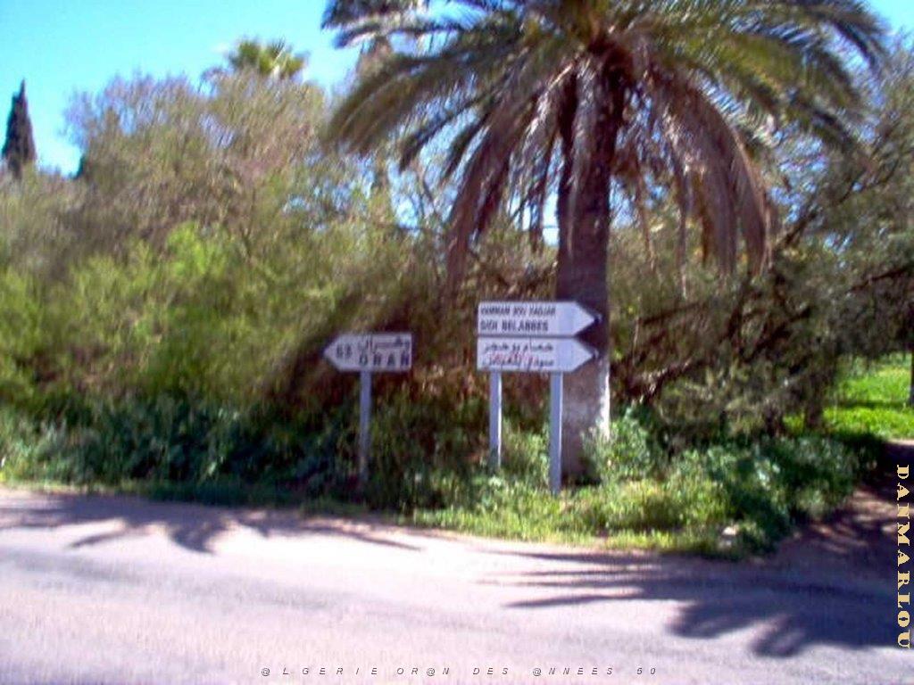 Algerie avril2005 082.jpg